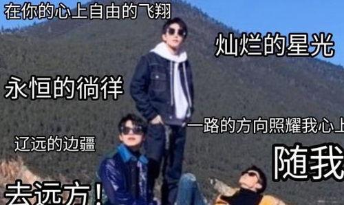 娱乐路透爆料模板下载,揭秘明星幕后故事，带你走进娱乐圈的神秘世界